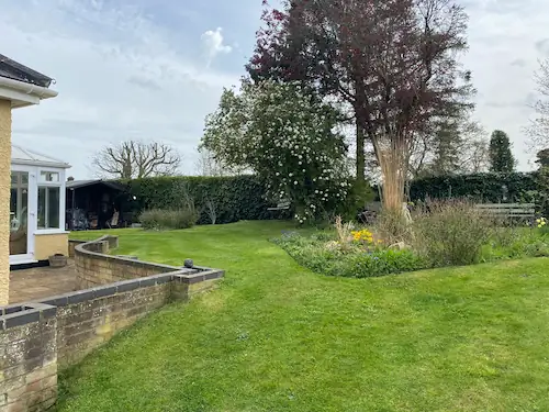 Clean cut lawn